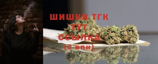 шишки Осинники