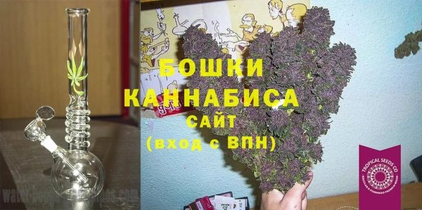 шишки Осинники