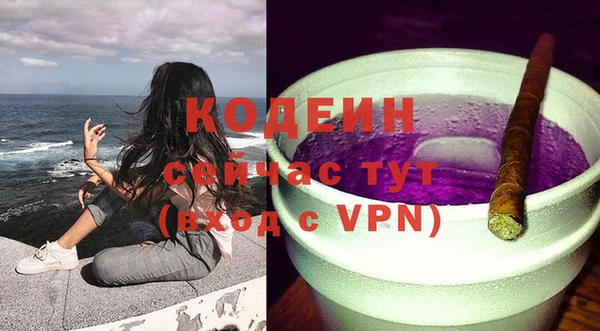шишки Осинники