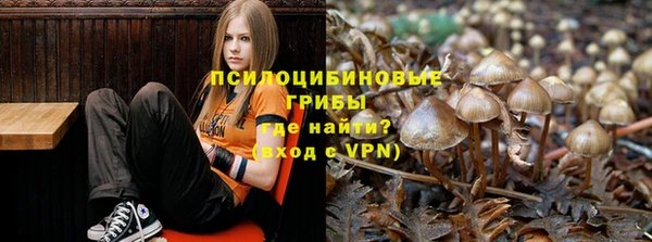 героин Абаза