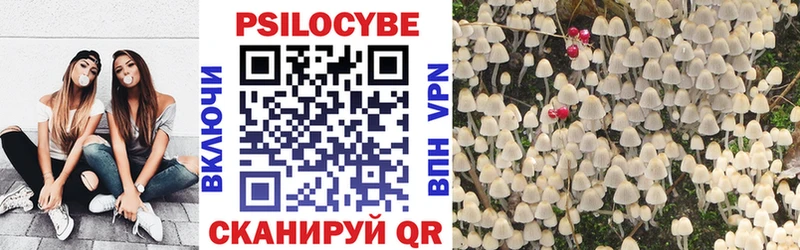 купить наркотики цена  Анадырь  Галлюциногенные грибы прущие грибы 